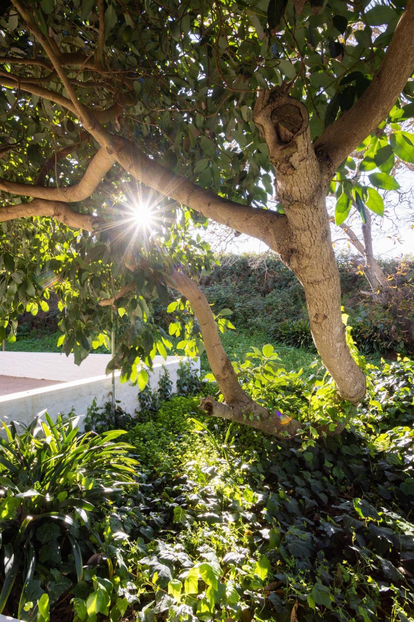 Lightbooking Casa De Campo Ortigal Tenerife La Esperanza  Extérieur photo